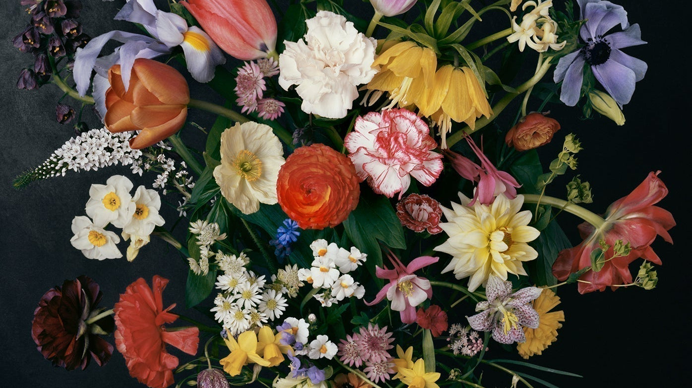 SAATCHI GALLERY: FLOWER POWER