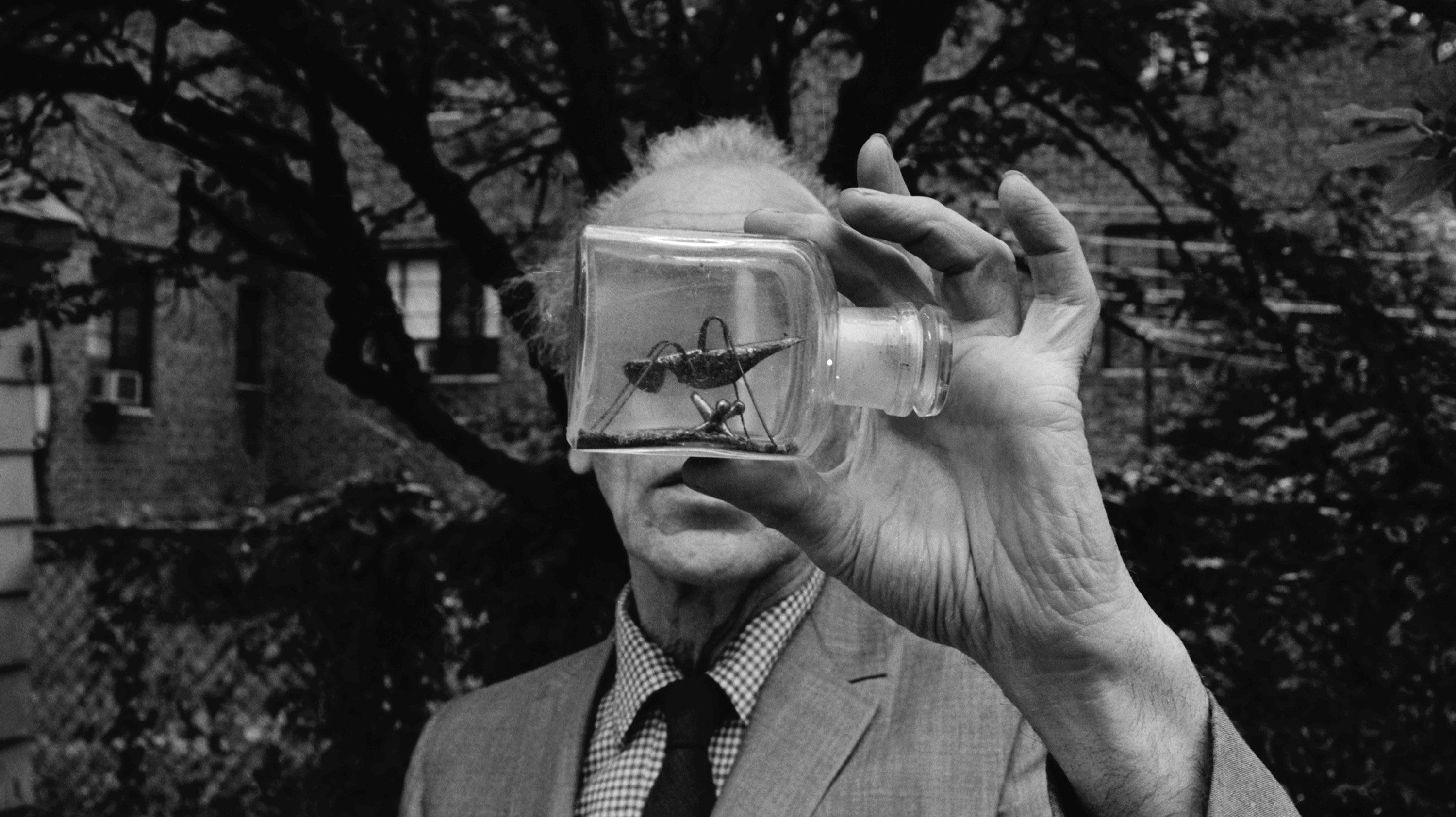 JOSEPH CORNELL’S WORLD IN A BOX