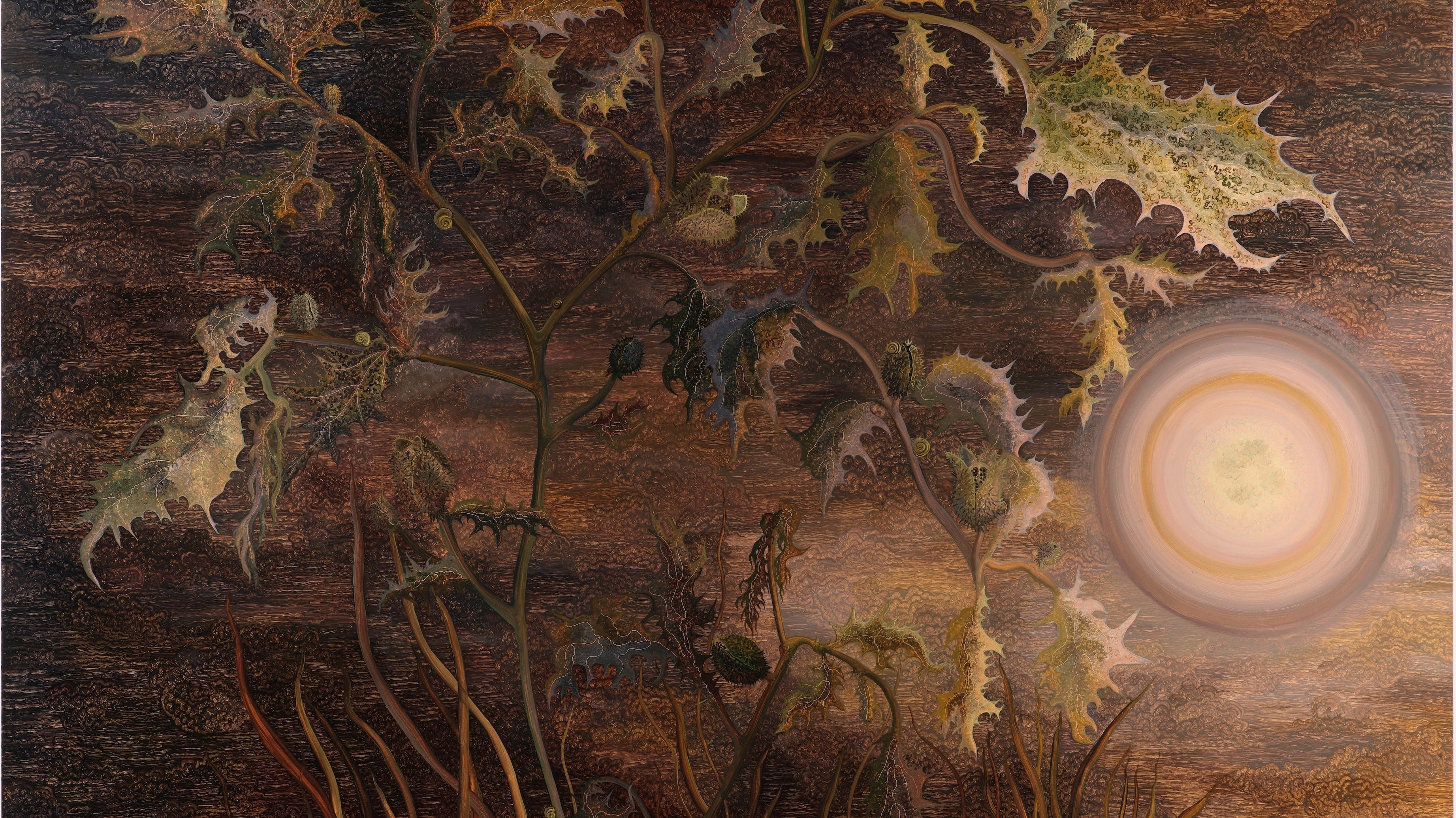 GEORG WILSON’S MAGIC HERBS