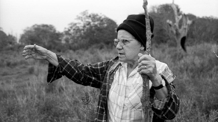 HEALING EARTH: THE DEEP CONNECTION BETWEEN US AND EARTH