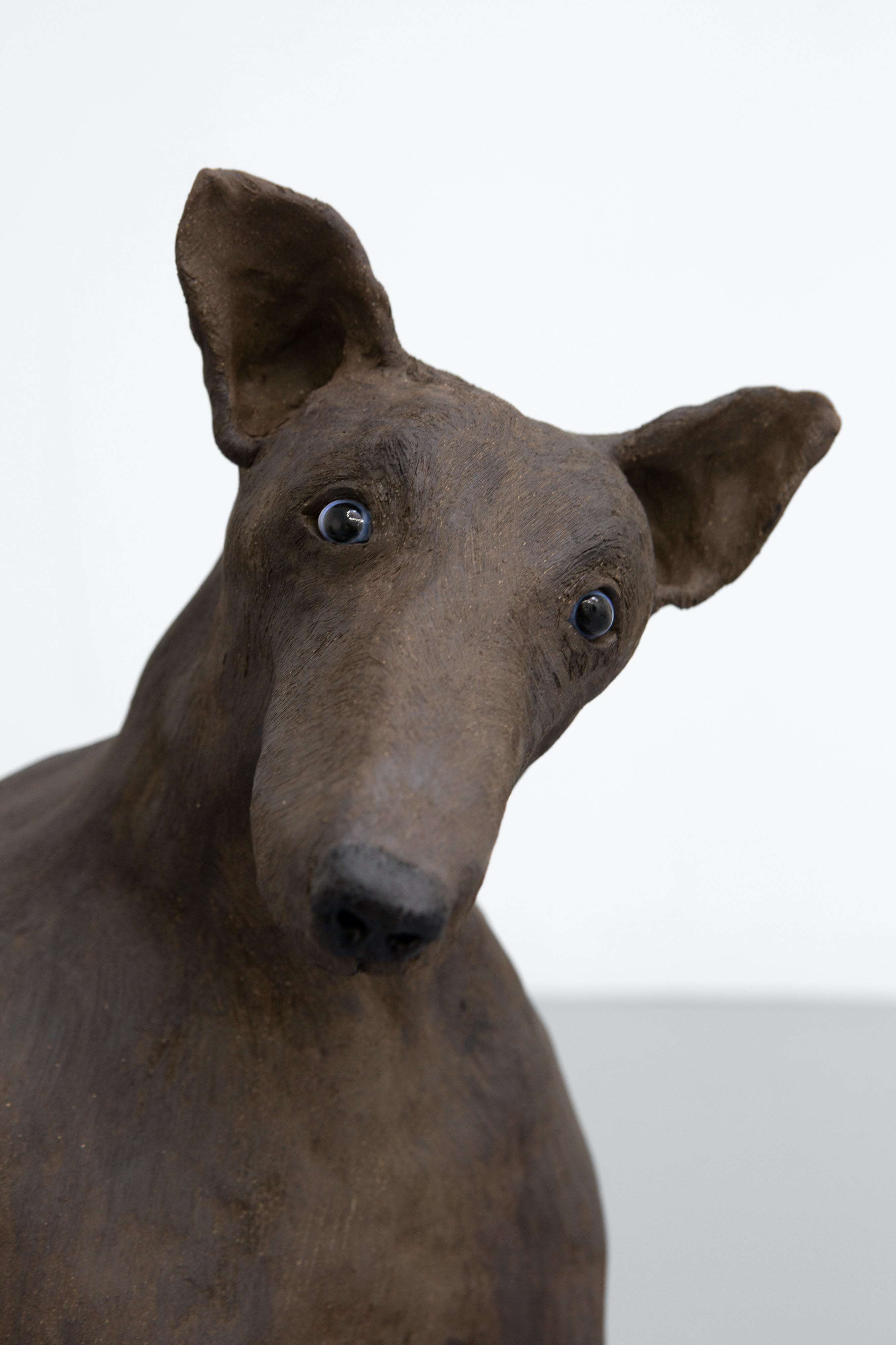 THE MYSTERIOUS WORLDS OF ELIZABETH JAEGER