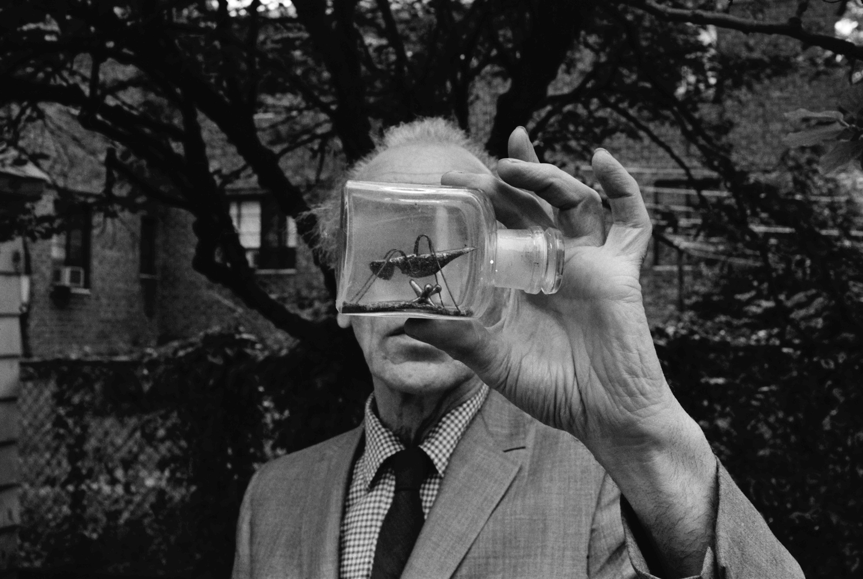 JOSEPH CORNELL’S WORLD IN A BOX