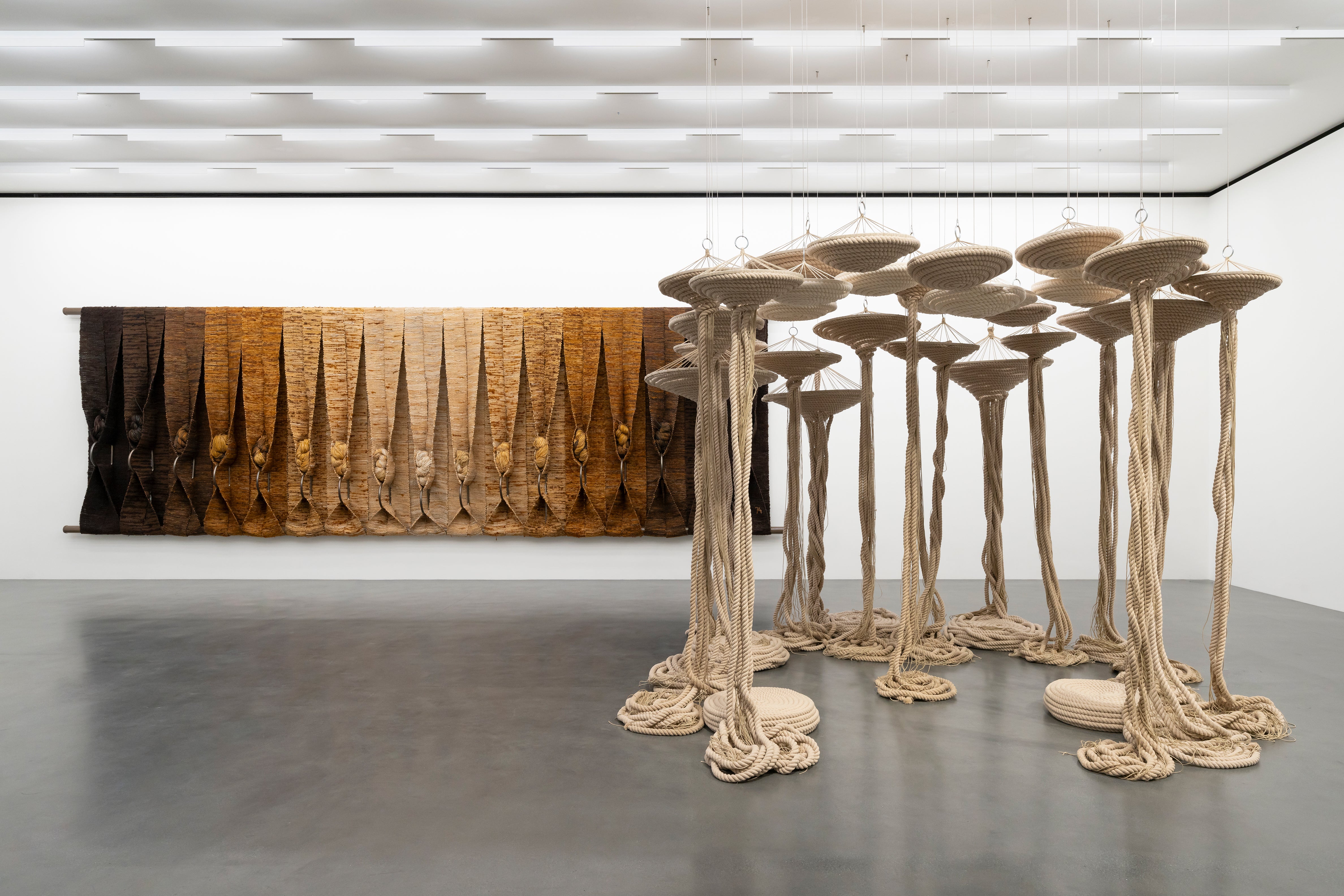 TAPTA: A FLEXIBLE GENIUS