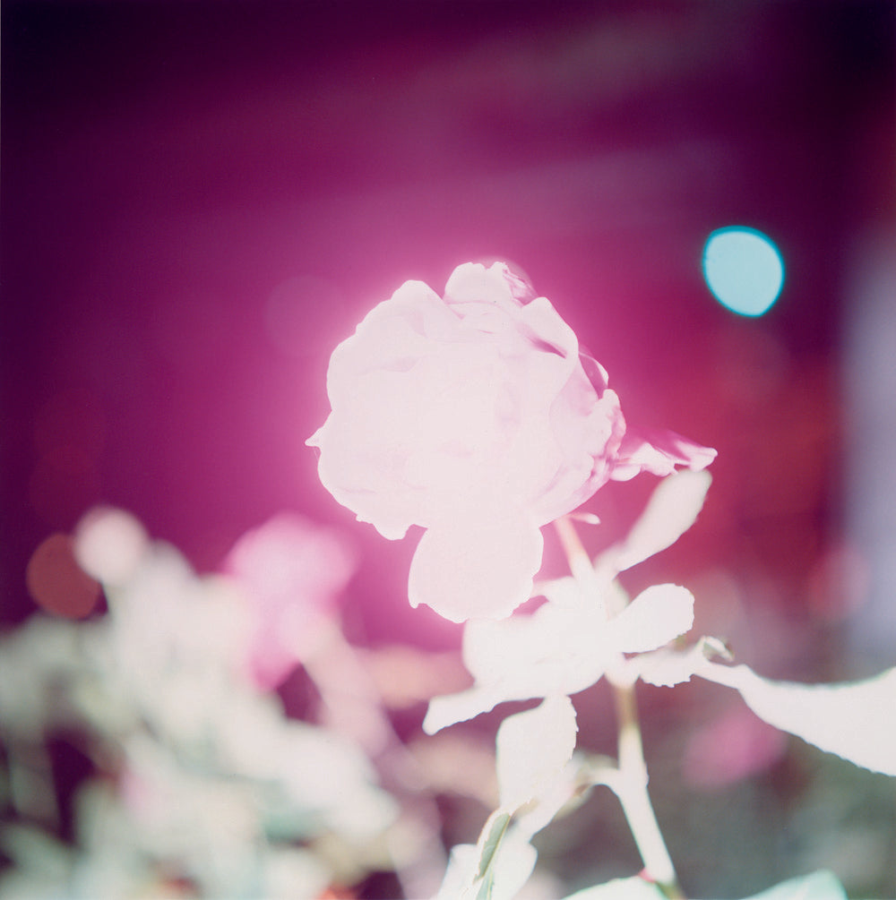 FEELING ALIVE WITH RINKO KAWAUCHI