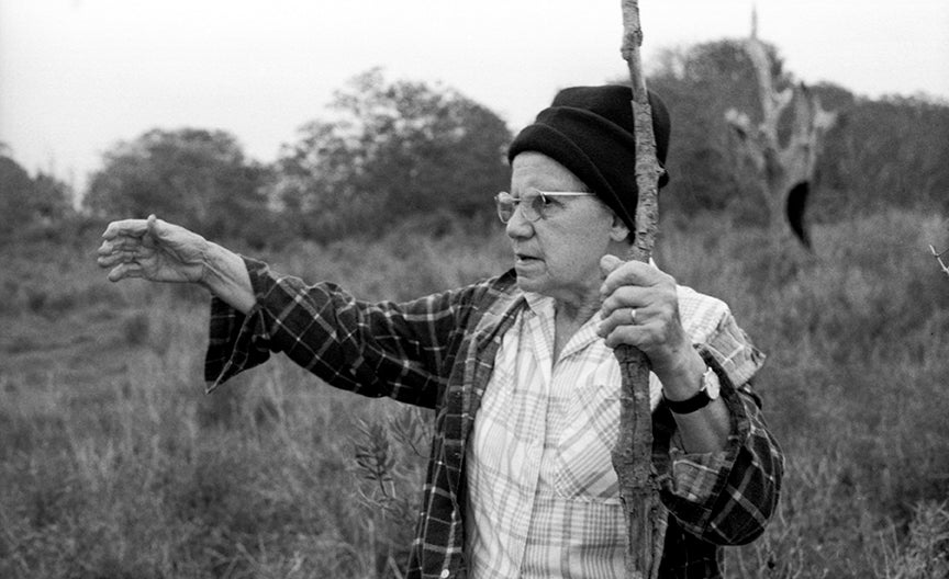 HEALING EARTH: THE DEEP CONNECTION BETWEEN US AND EARTH